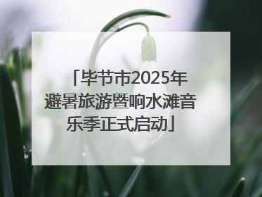 毕节市2025年避暑旅游暨响水滩音乐季正式启动